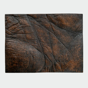 Palm Lines (11"x17")