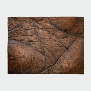 Palm Lines - Image 1