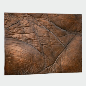 Palm Lines - Image 2