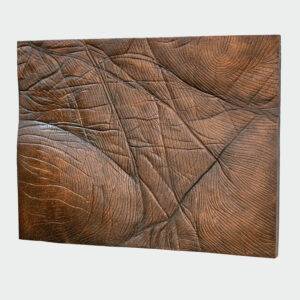 Palm Lines - Image 3