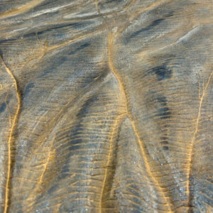 Masculinity - Image 6